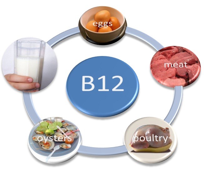 Thiếu máu do thiếu vitamin B12