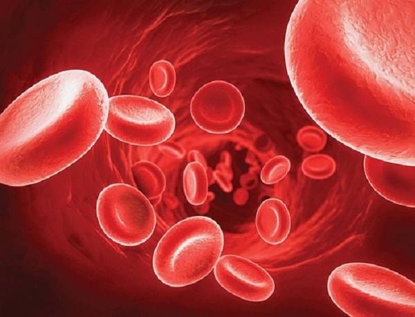 Thiếu máu beta thalassaemia