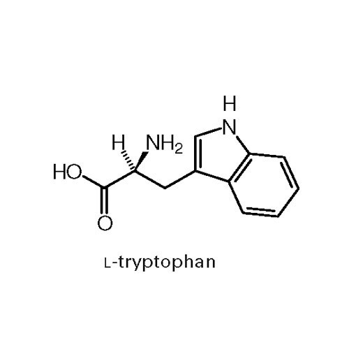 Nocid 3