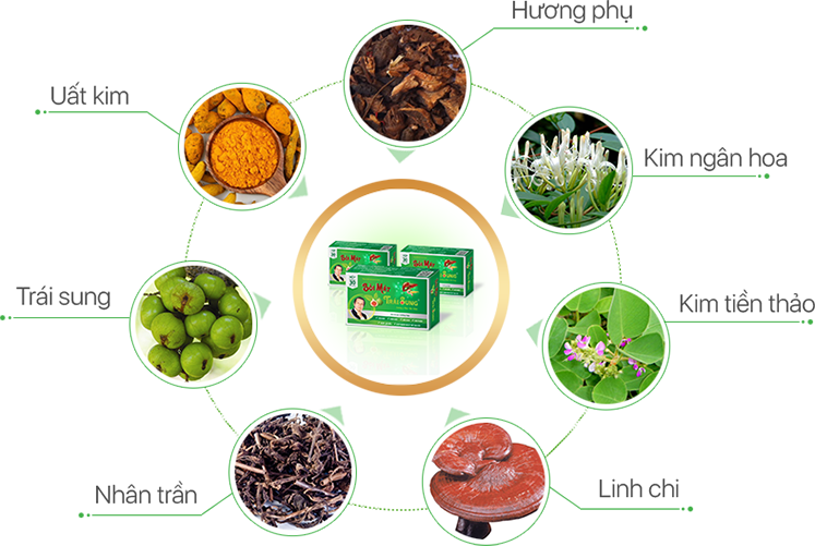 sỏi mật trái sung 2